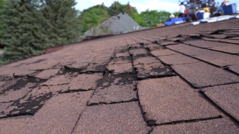 Best Roof Coating and Sealing  in Ojus, FL