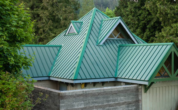 Best Chimney Flashing Repair  in Ojus, FL