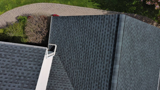 Best Roof Waterproofing  in Ojus, FL