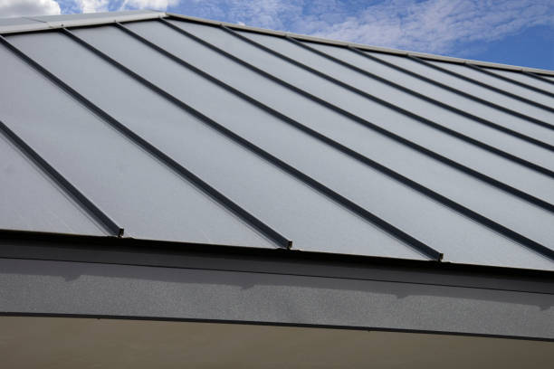 Best Storm Damage Roof Repair  in Ojus, FL