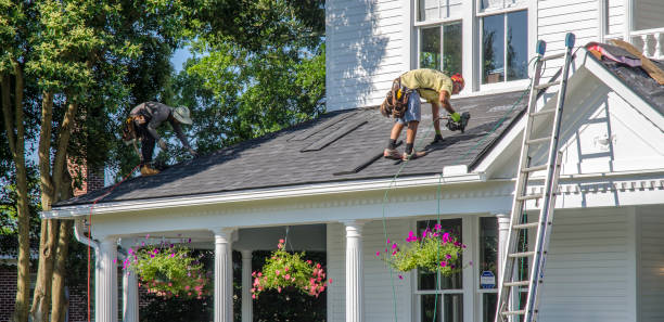 Best Roof Insulation Installation  in Ojus, FL
